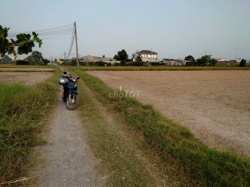 Bán đất thổ cư sát 823D, xã Đức Hòa Đông 