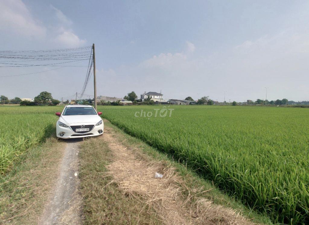 Bán đất thổ cư sát 823D, xã Đức Hòa Đông 