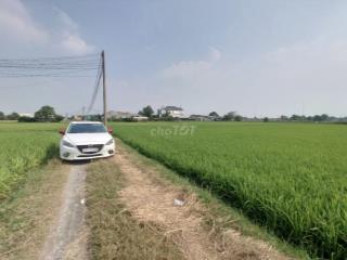 Bán đất thổ cư sát 823D, xã Đức Hòa Đông 