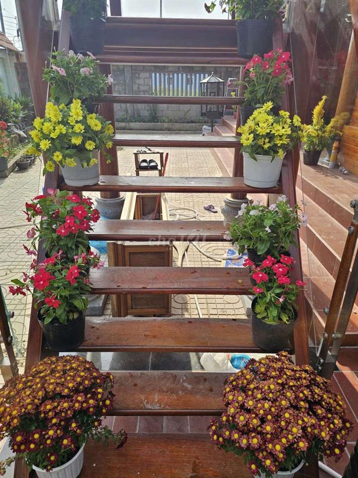 BÁN NHÀ GỖ SIÊU ĐẸP