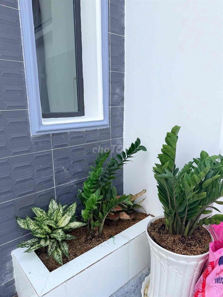 Bán nhà cầp 4/ có hoàn công/ shr/ 1 tỷ 590