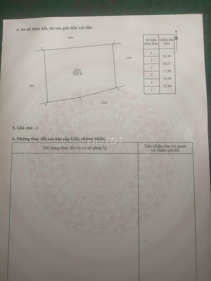 (Sang nhượng) Trang trại nuôi heo