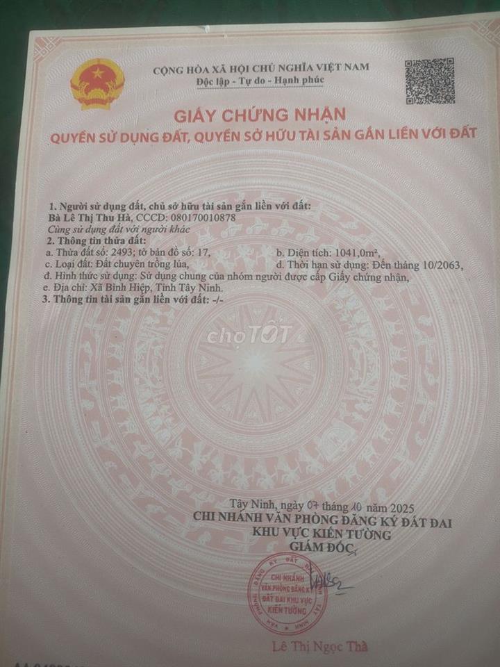 (Sang nhượng) Trang trại nuôi heo
