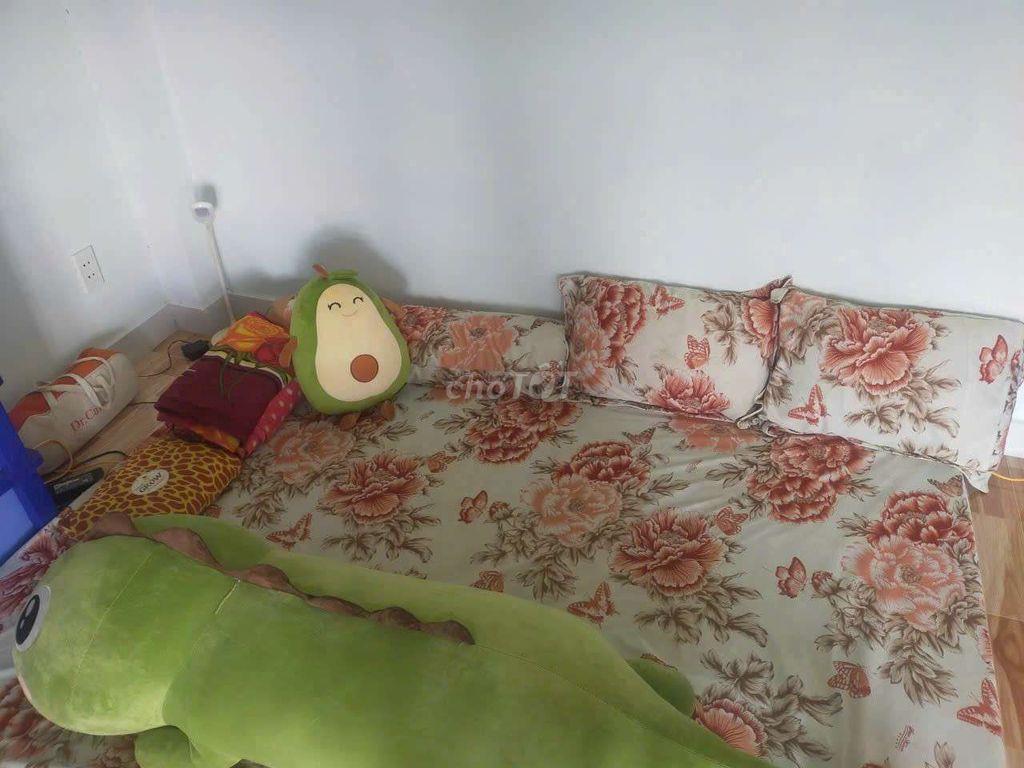 Cho thuê nhà nguyên căn ở Mỹ Hạnh, Long An