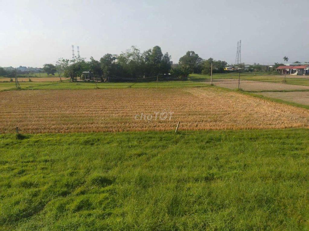 Cho thuê nhà nguyên căn ở Mỹ Hạnh, Long An