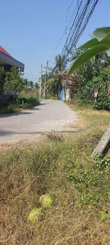 📢🎉CHO THUÊ ĐẤT DTSD : 2300M2 TẠI XÃ MỸ HẠNH BẮC - ĐỨC HÒA - LONG AN