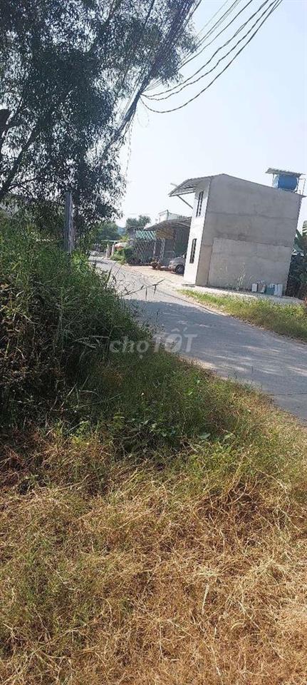 📢🎉CHO THUÊ ĐẤT DTSD : 2300M2 TẠI XÃ MỸ HẠNH BẮC - ĐỨC HÒA - LONG AN