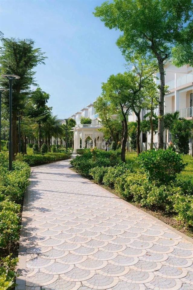 Cho thuê Nhà phố 100m2 hoàn thiện 4 tầng ngay dự án T&T City Millennia