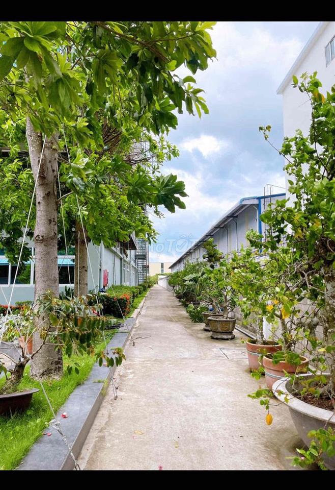 Bán Kho Xưởng KCN Phú An Thạnh, Bến Lức , Long An