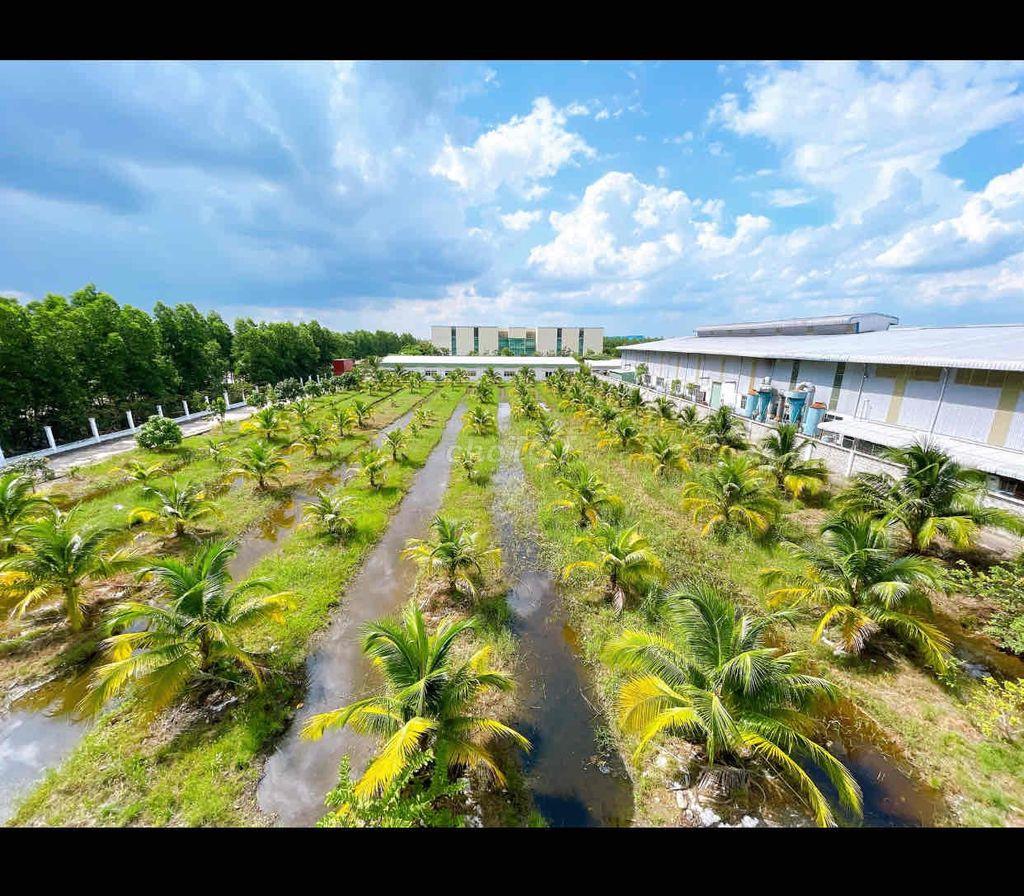 Bán Kho Xưởng KCN Phú An Thạnh, Bến Lức , Long An