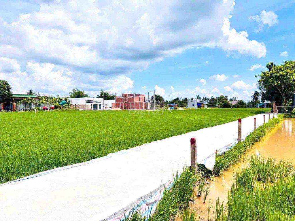 Đất thổ 192,8m2 GIÁ 399tr Tân Trụ, Long An