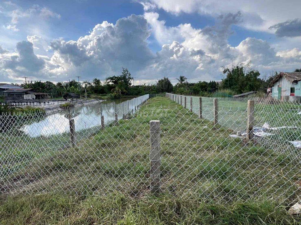 ĐÁt thổ MT TL 833, 265m2 chỉ 959tr Tân Trụ, Long An