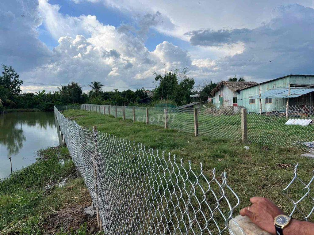 ĐÁt thổ MT TL 833, 265m2 chỉ 959tr Tân Trụ, Long An