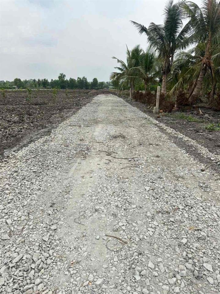Xả lô đất vườn 1000m2 chỉ 410tr Tân Thành, Thủ Thừa, Long An