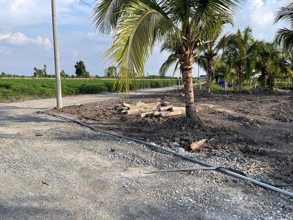Xả lô đất vườn 1000m2 chỉ 410tr Tân Thành, Thủ Thừa, Long An