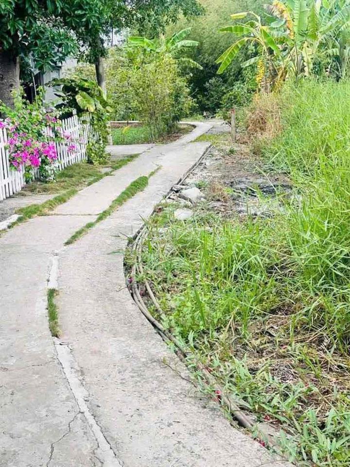 Đất thổ 5x18m chỉ 299tr Quê Mỹ Thạnh, Tân Trụ, Long An