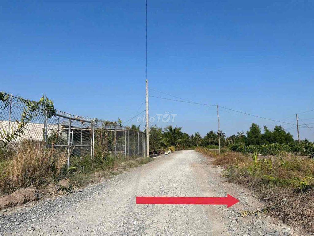 Đất vườn mặt tiền đường xe hơi 1215,6m2 rộng 21.3m chỉ 1.3 tỷ, Bến Lức