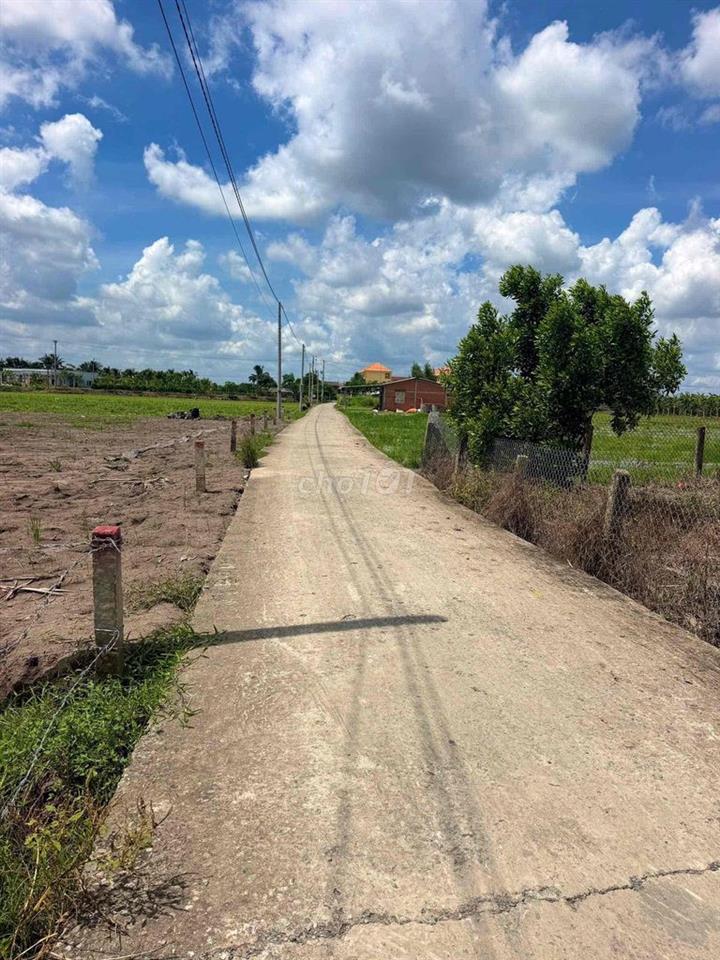 Đất thổ sát nhựa 5x26m xả giá 525tr Đức Tân, Tân Trụ, Long An