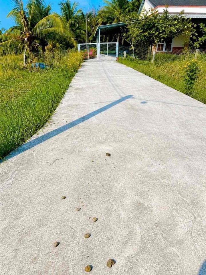 Đất thổ giá rẻ 230tr cho lô đất sổ riêng 70m2 Tân Trụ, Long An