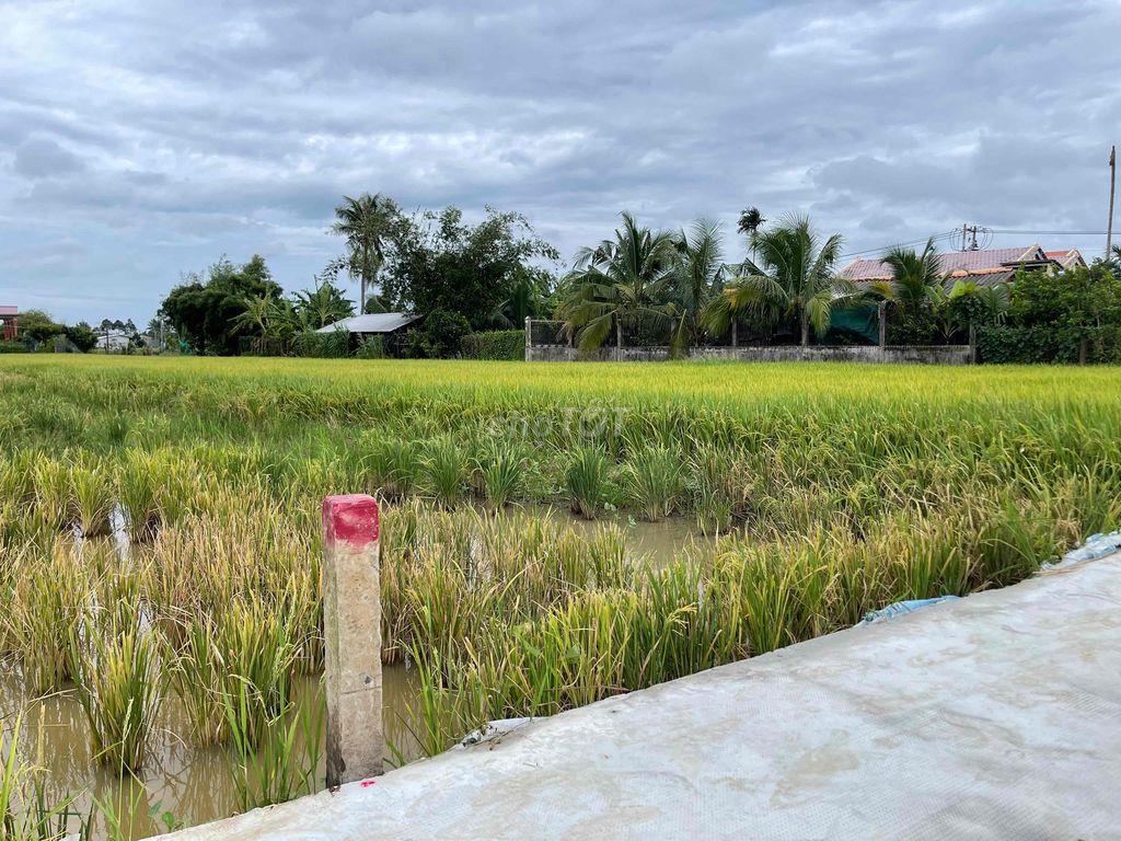 Xả lô thổ 192,8m2 chỉ 400tr Tân Trụ, Long An