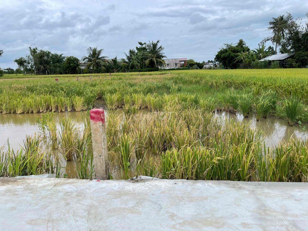 Xả lô thổ 192,8m2 chỉ 400tr Tân Trụ, Long An