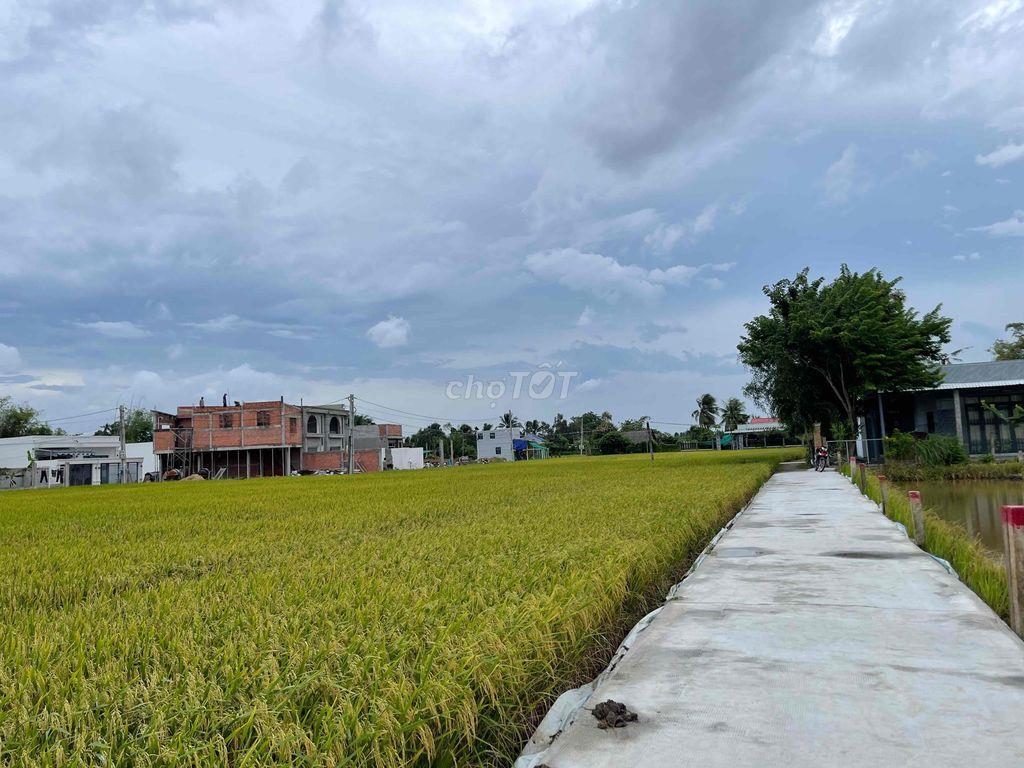 Xả lô thổ 192,8m2 chỉ 400tr Tân Trụ, Long An