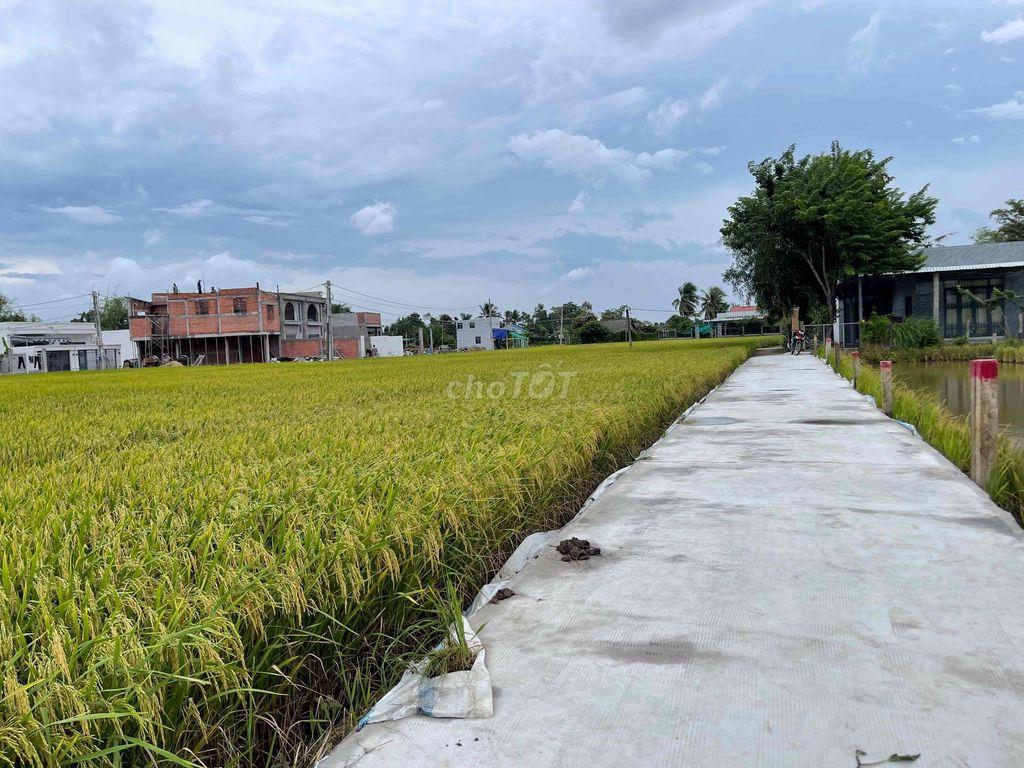 Xả lô thổ 192,8m2 chỉ 400tr Tân Trụ, Long An