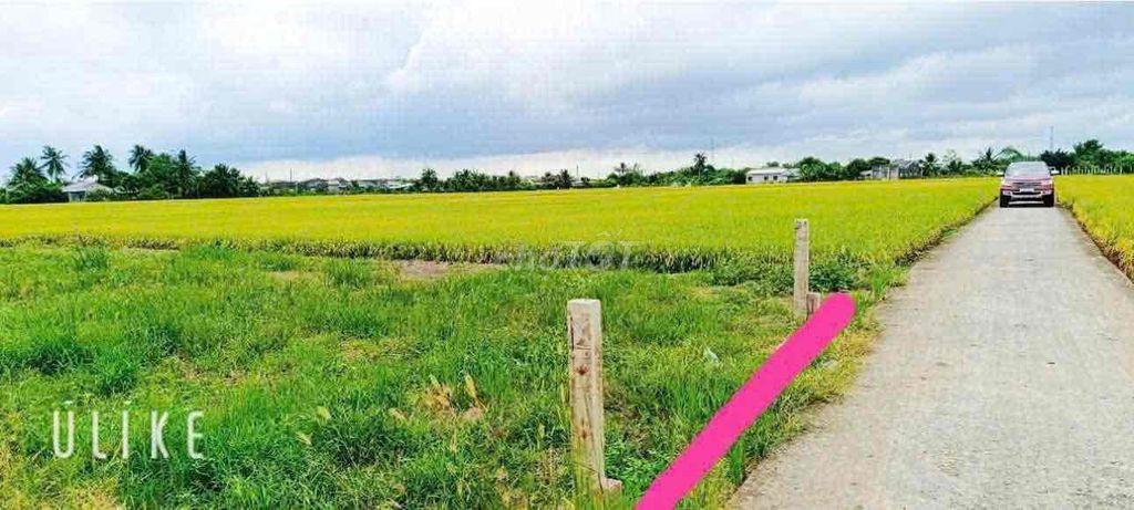 Bán xả lô đất 5x29m chỉ 399tr Lạc Tấn, Tân Trụ