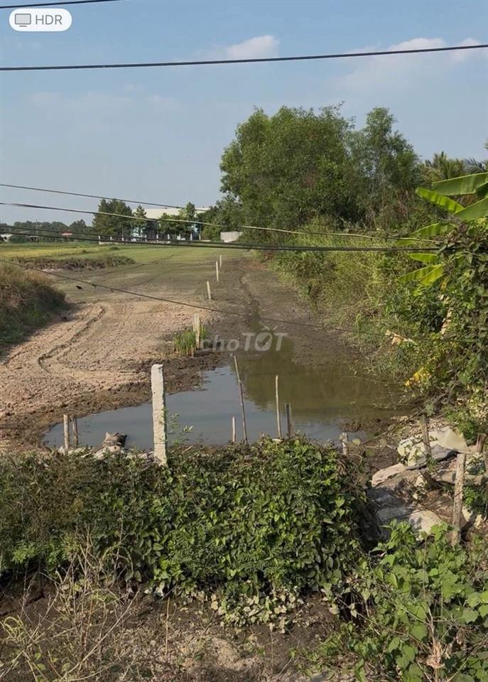 CHÍNH CHỦ BÁN ĐẤT 250M² FULL THỔ CƯ – NGANG 5M DÀI 50M