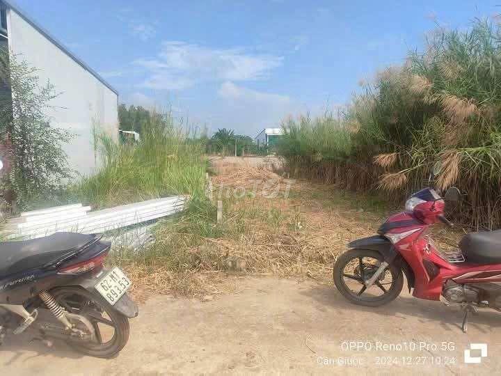 đất ở đô thị 590 triệu