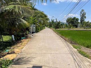 đất đông thạnh cần giuộc 850 triệu