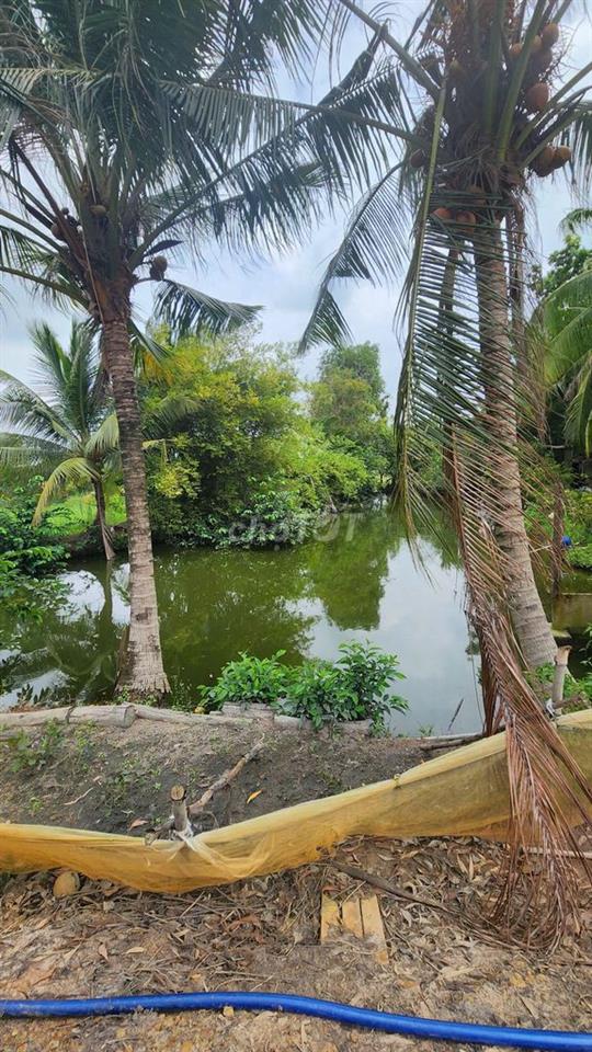 Đất mặt tiền - Xã An Ninh Tây