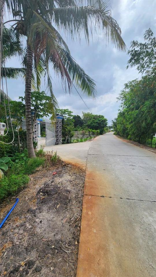Đất mặt tiền - Xã An Ninh Tây
