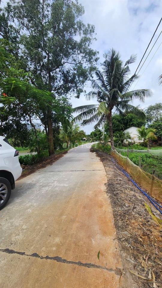 Đất mặt tiền - Xã An Ninh Tây