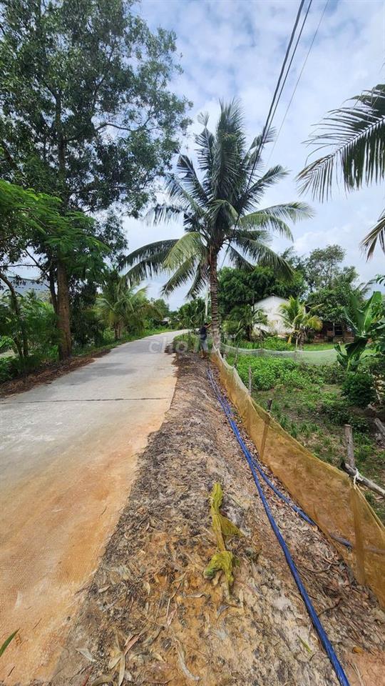 Đất mặt tiền - Xã An Ninh Tây