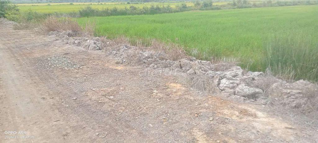 CẦN BÁN LÔ ĐẤT DT 2109 M2 TẠI BÌNH HÒA NAM ĐỨC HUỆ
