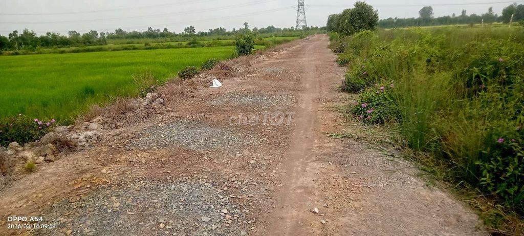 CẦN BÁN LÔ ĐẤT DT 2109 M2 TẠI BÌNH HÒA NAM ĐỨC HUỆ