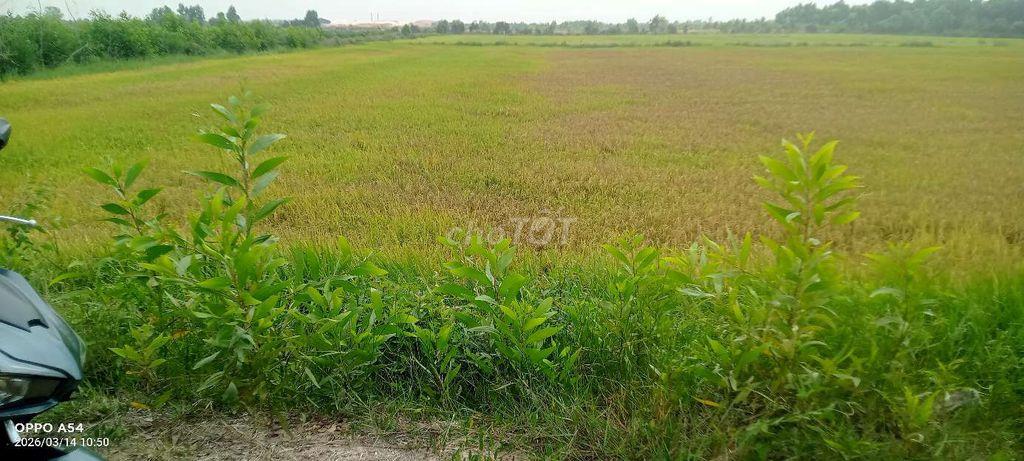 CẦN BÁN LÔ ĐẤT DT 9000 M2 TẠI ĐỨC HUỆ