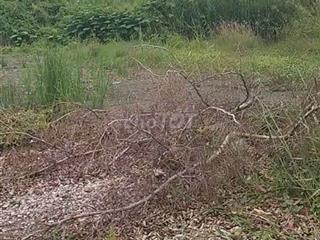 610 Triệu - 111,7m2 - KCN Tân Kim - Vòng Xoay 5 Con Rồng