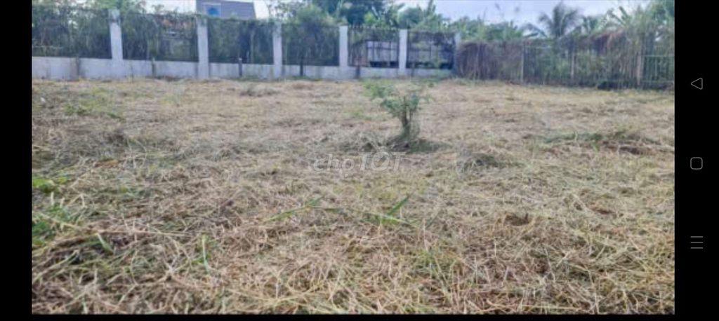 Chính chủ kẹt tiền bán gấp đất thỗ cư ngay trung tam