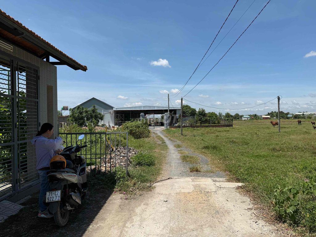 Đất nền thổ cư đức hoà long an