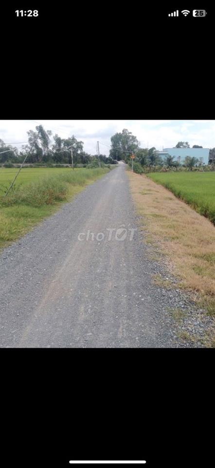 BÁN ĐẤT NÔNG NGHIỆP