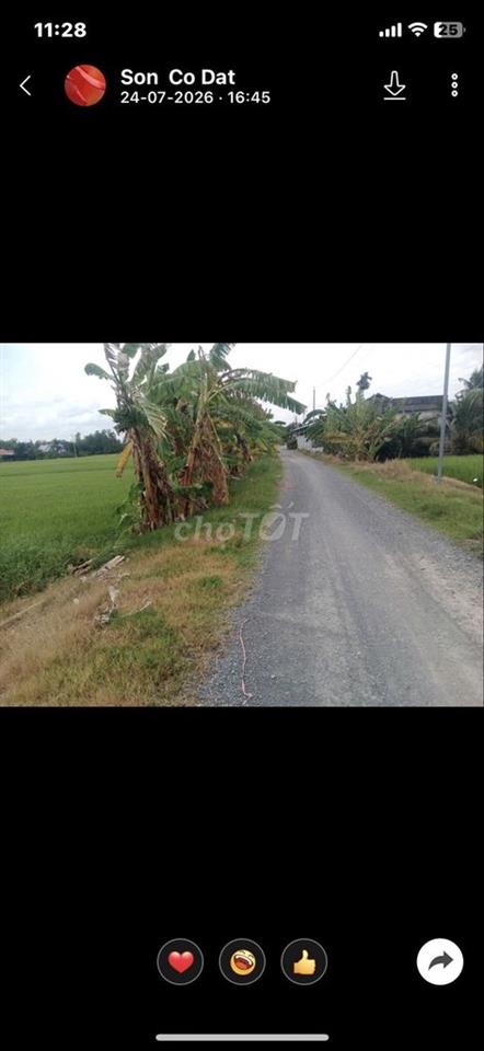 BÁN ĐẤT NÔNG NGHIỆP
