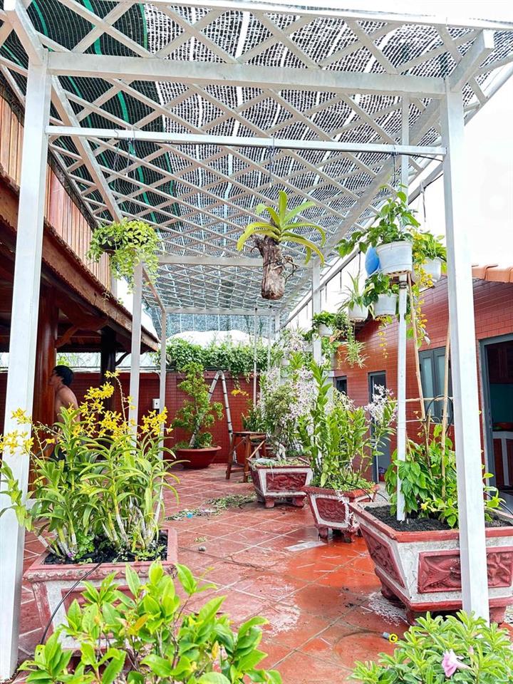 Cần bán gấp căn nhà gỗ sân vườn