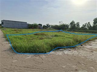 CHÍNH CHỦ BÁN ĐẤT THỔ CƯ XÃ LONG CANG – CẦN ĐƯỚC, LONG AN