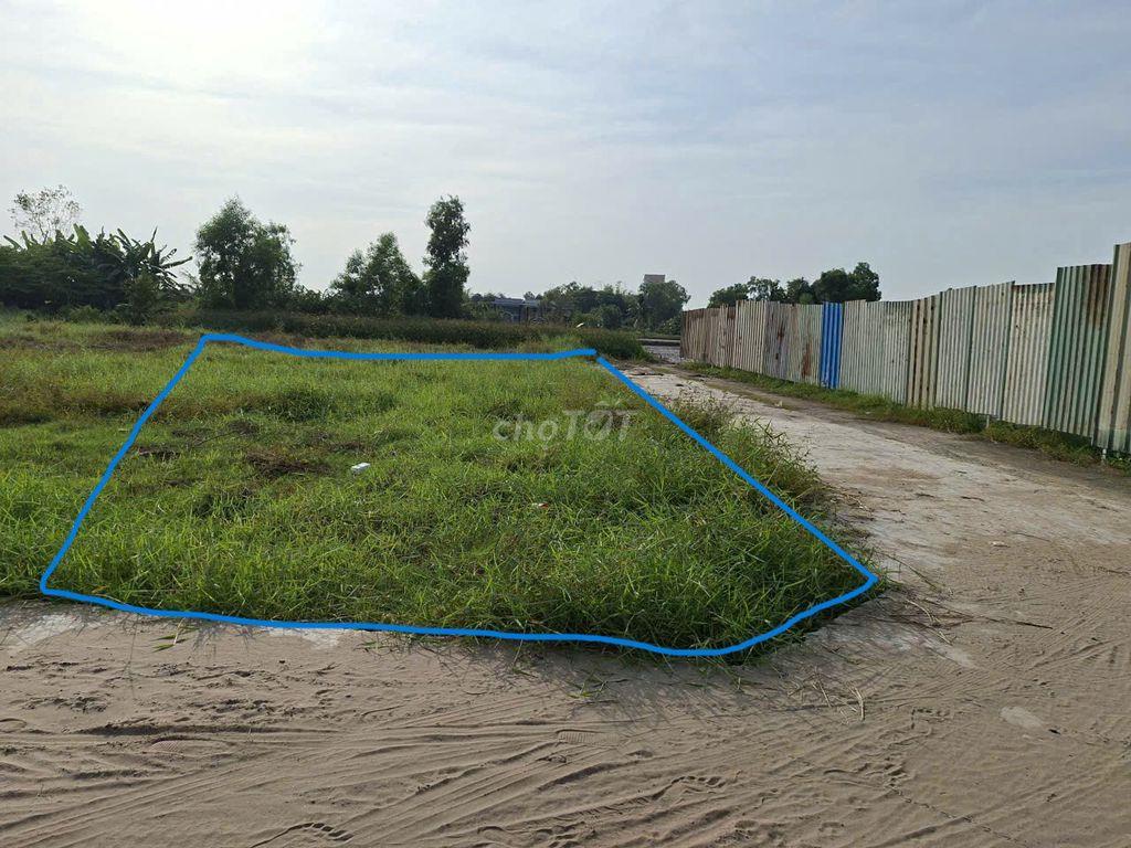 CHÍNH CHỦ BÁN ĐẤT THỔ CƯ XÃ LONG CANG – CẦN ĐƯỚC, LONG AN