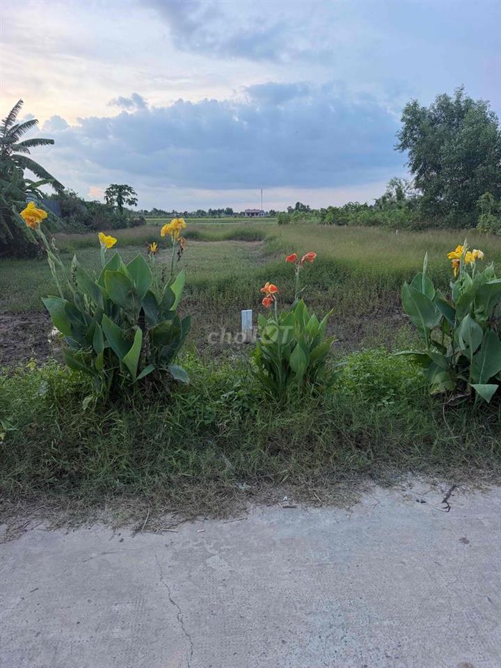 đất thổ đức huệ long an giá rẻ