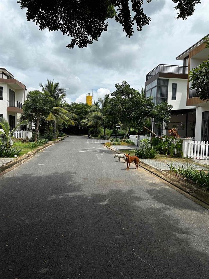 Bán đất nền Biệt Thự