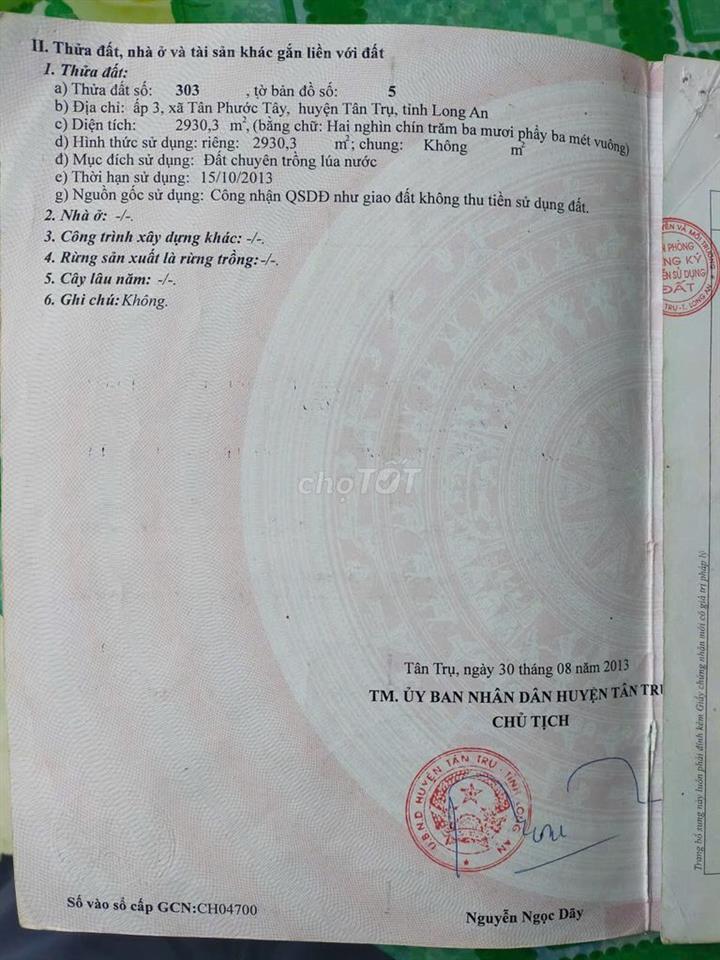 Cần bán 2930 mét vuông đất lúa