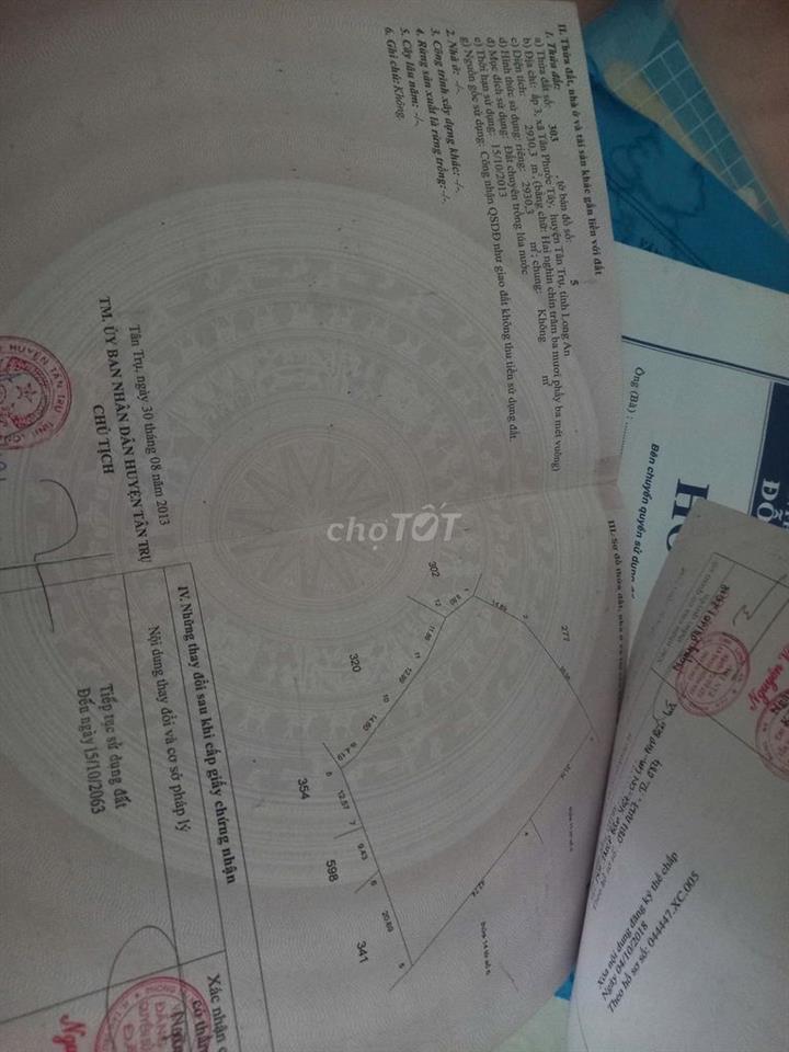 Cần bán 2930 mét vuông đất lúa